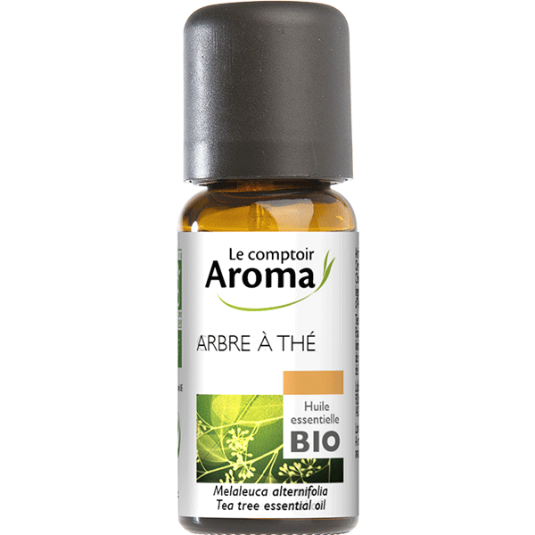 Arbre à thé / Tea Tree - Le Comptoir Aroma