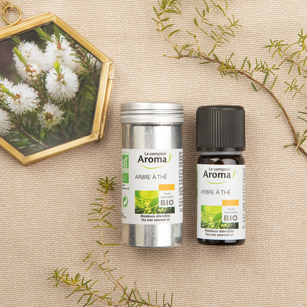 Huile essentielle Arbre à thé bio Le Comptoir Aroma - Tea Tree