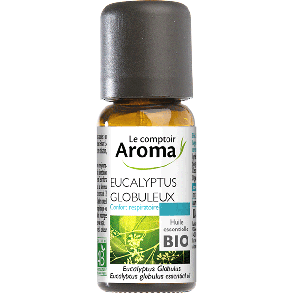 Eucalyptus globuleux - Le Comptoir Aroma