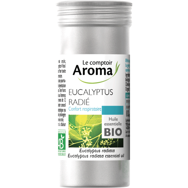 Eucalyptus radié - Le Comptoir Aroma