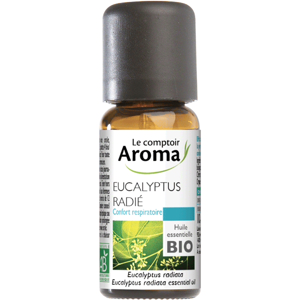 Eucalyptus radié - Le Comptoir Aroma